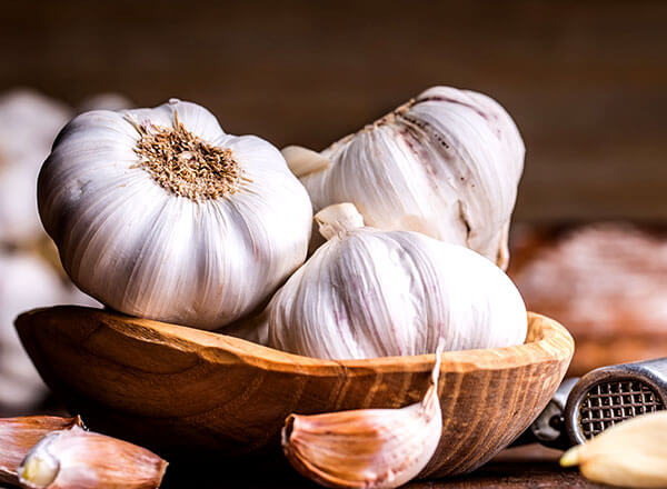 truefoodkitchen-ingredient-garlic