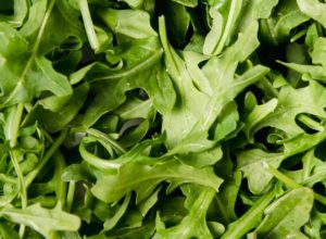 Arugula_600x440 Arugula