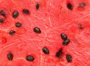 Watermelon_600x440 Watermelon